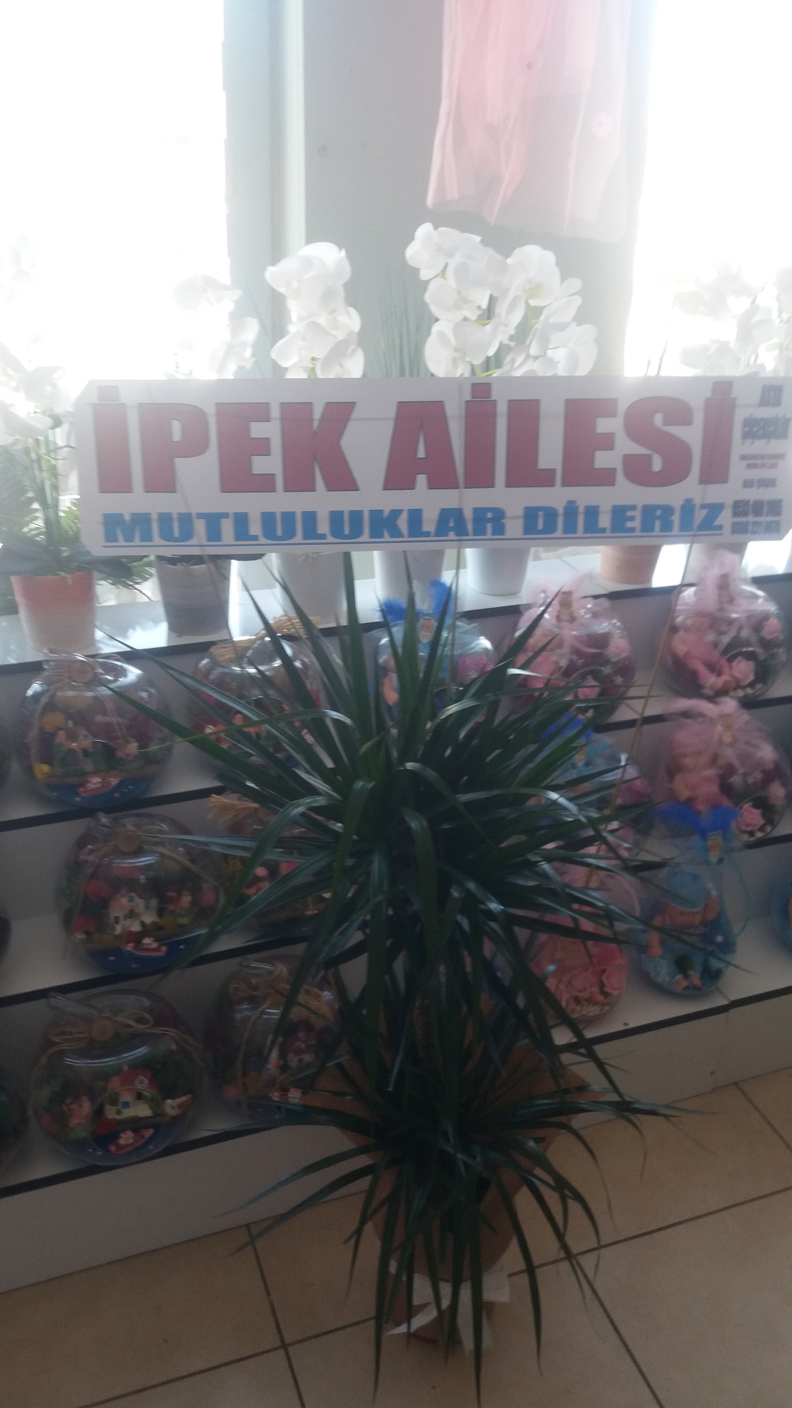 Asya Çiçekçilik