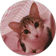 İlayda Taşkıran profil fotoğrafı