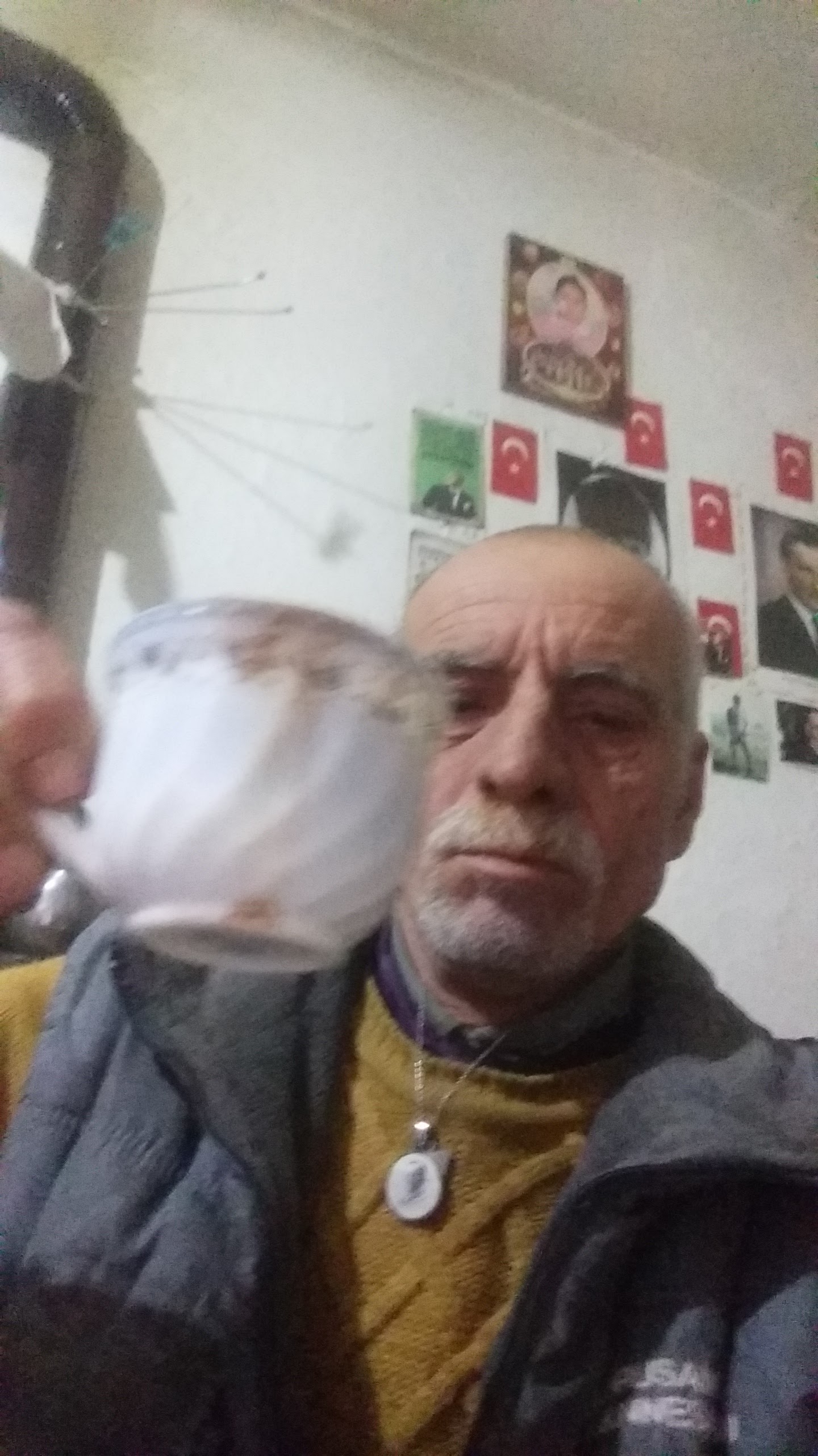 Serenat Kır Bahçesi Düğün & Kahvaltı Salonu — Merkez, Niğde kır düğünü mekanı görsel 5